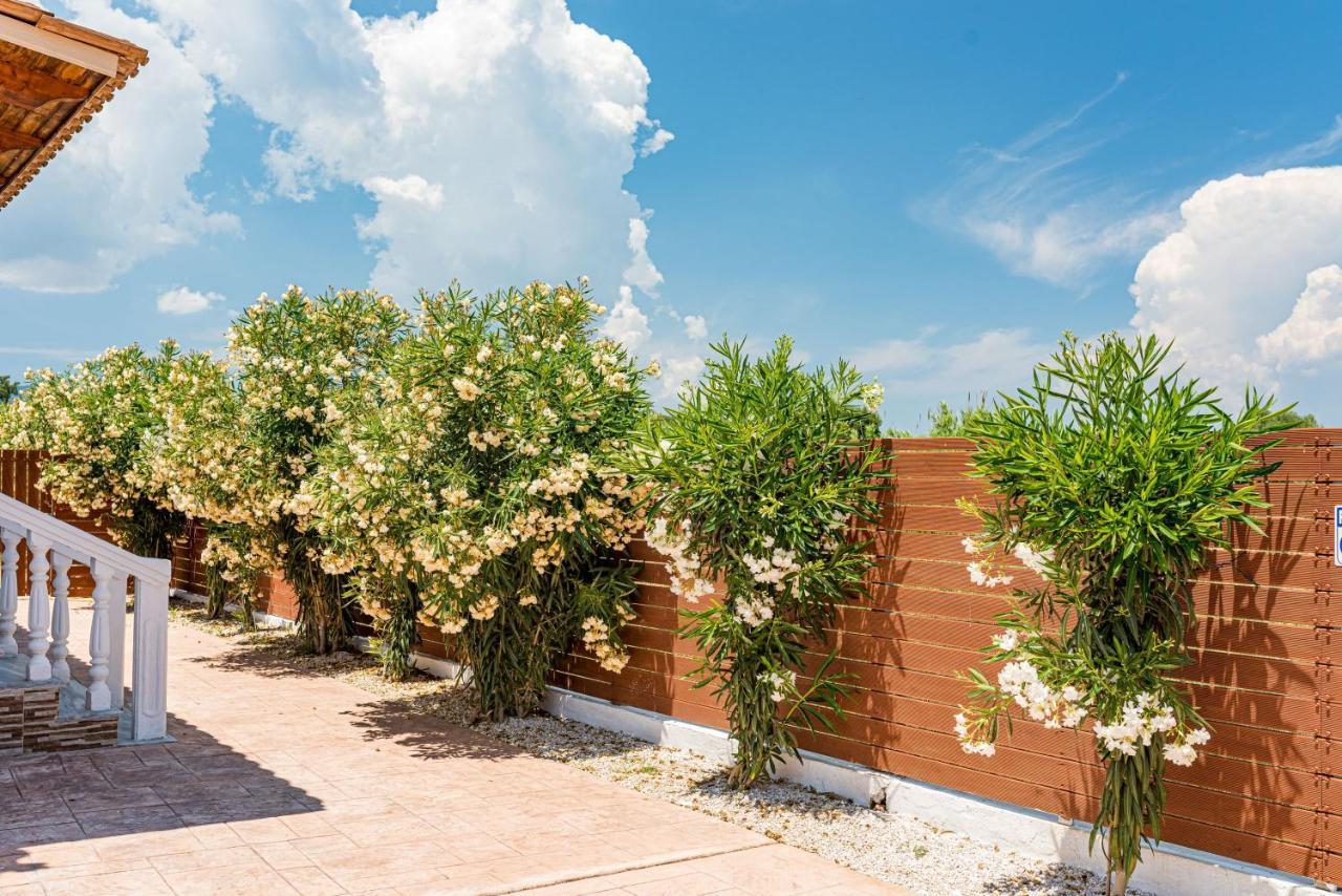 Blossom Villa Laganas Buitenkant foto